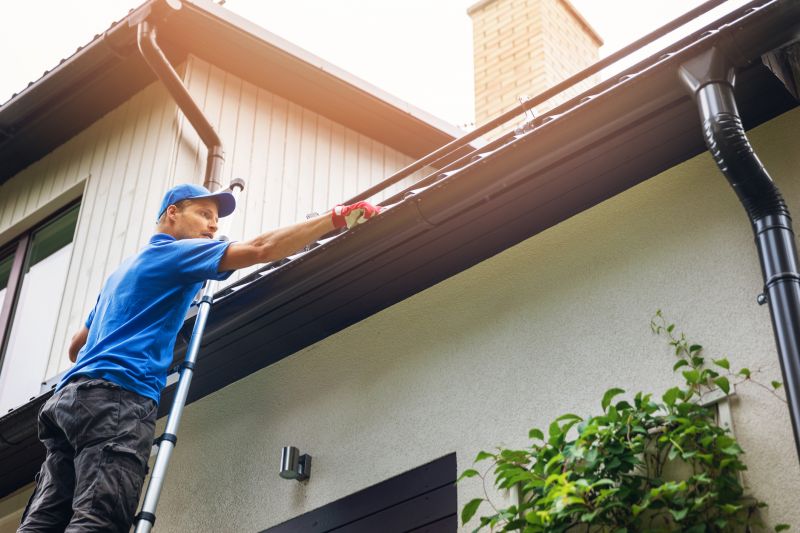 Gutter Cleaning in Richmond, VA