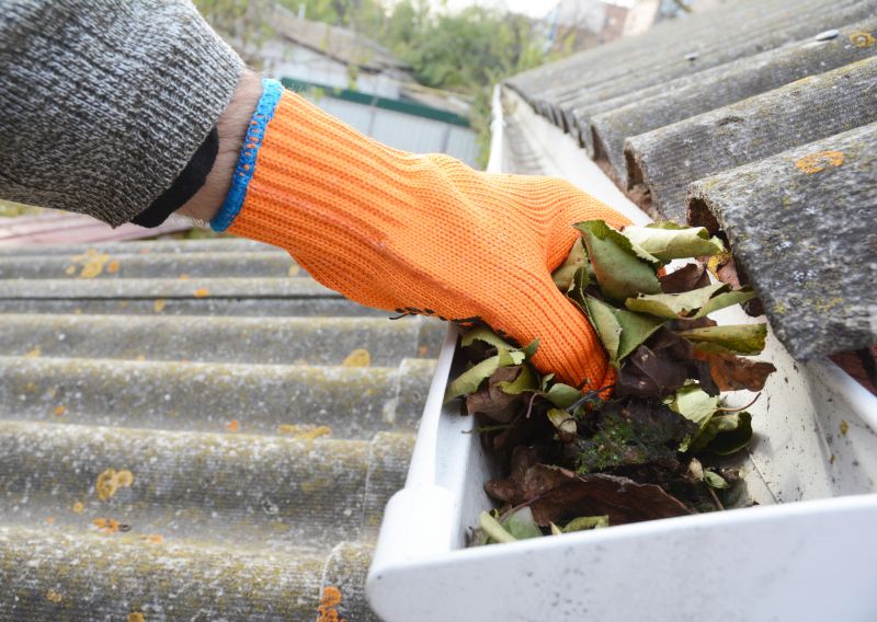 Gutter Leaves Removal in Annapolis, MD