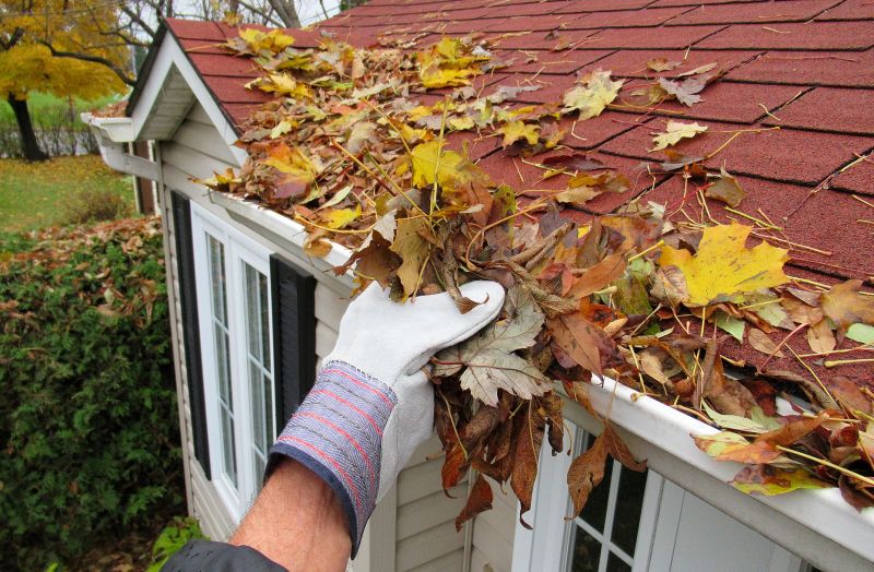 Gutter Pine Needle Removal in Frederick, MD