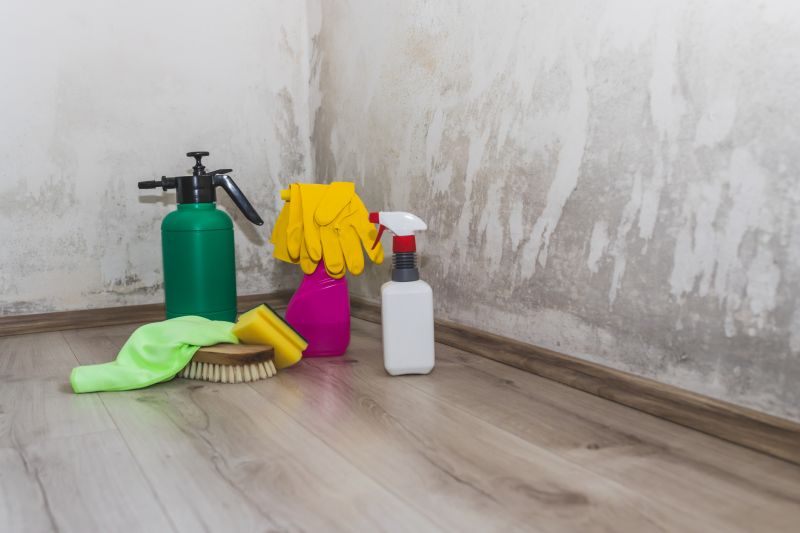 Mold and Mildew Removal