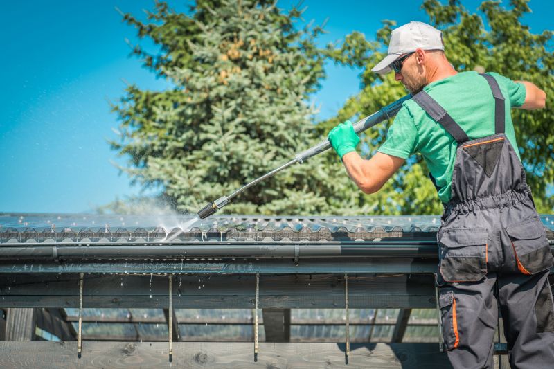 Roof Gutter Cleaning in Annapolis, MD