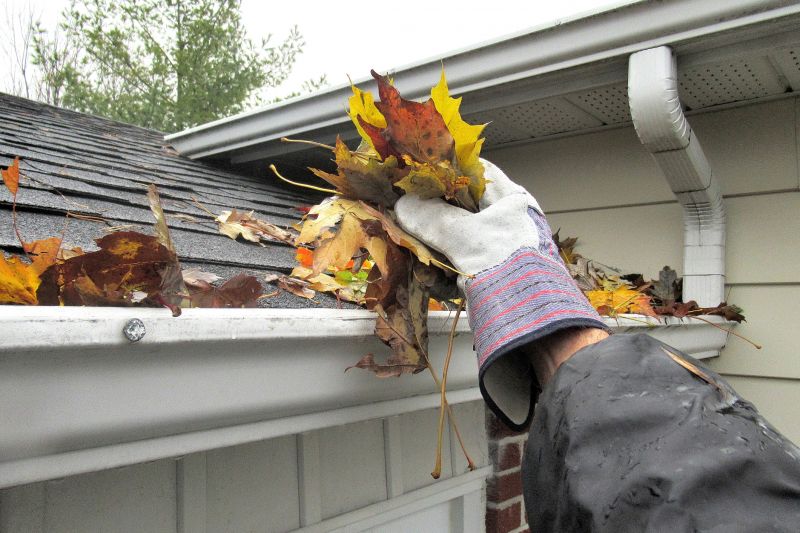 Roof Gutter Cleaning in Annapolis, MD