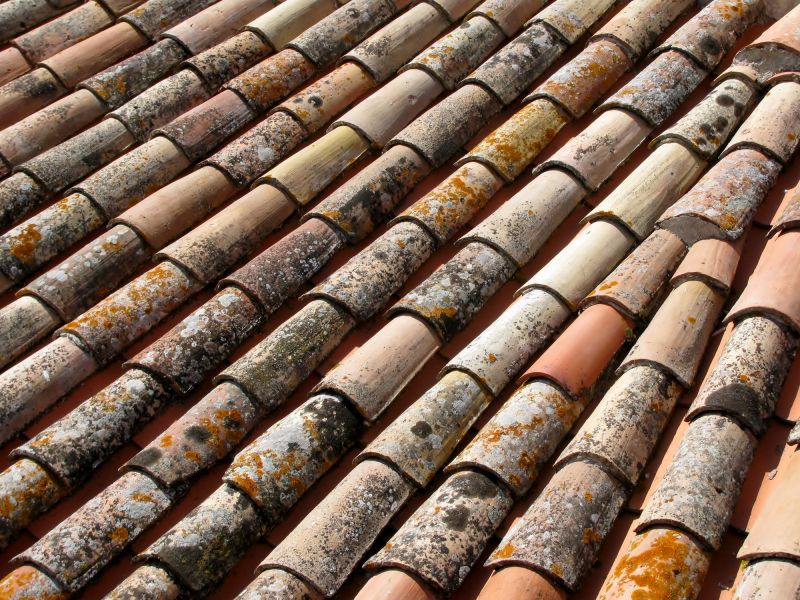 Roof Mildew Cleaning in Vancouver, WA